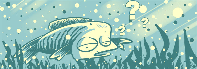fish