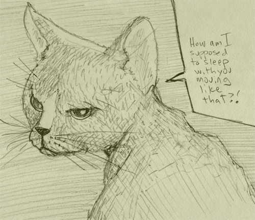 sketch33